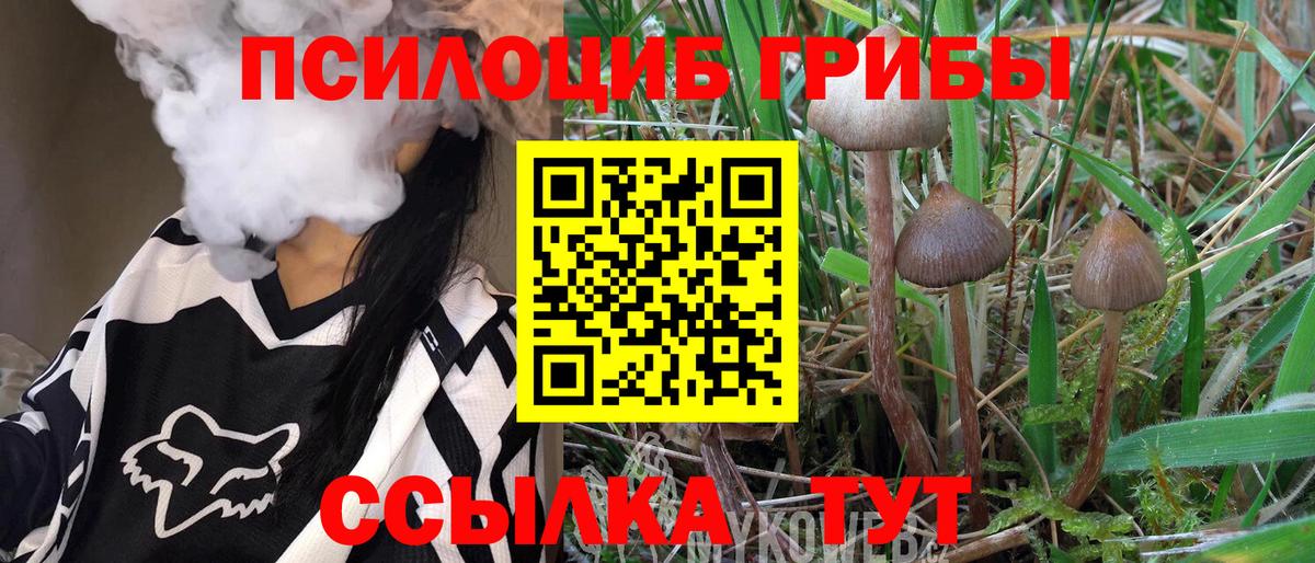 Белебей  Галлюциногенные грибы ЛСД  Вход с VPN 