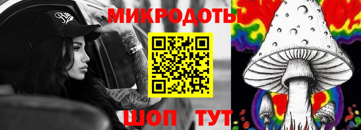 Галлюциногенные грибы Psilocybe Белебей